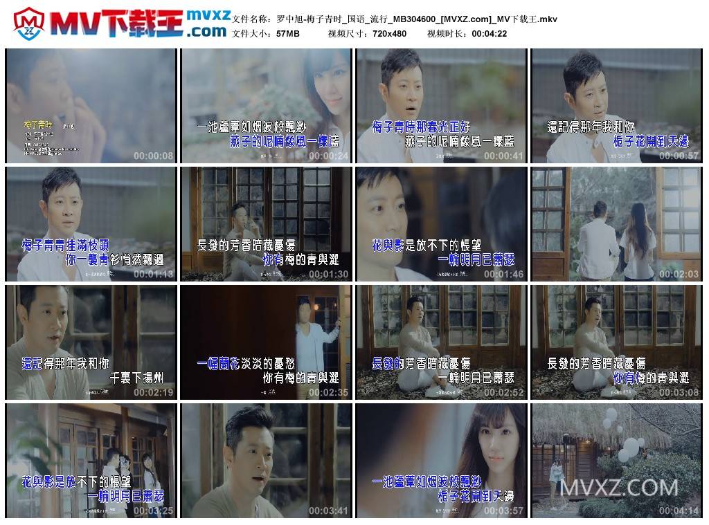 罗中旭-梅子青时_国语_流行_MB304600